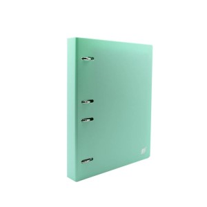 FICHÁRIO ARGOLADO COLEGIAL 96 FOLHAS TONS PASTEL VERDE YES