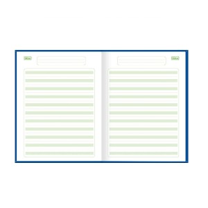 CADERNO PAUTA VERDE BROCHURA CD SAPECA 40 FLS TILIBRA