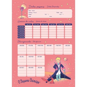 CADERNO ESPIRAL CAPA DURA 1/4 PEQUENO PRÍNCIPE 96FLS JANDAIA