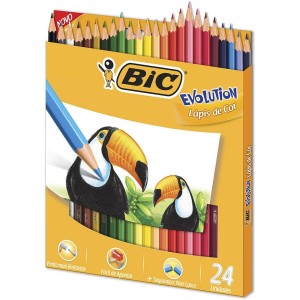 LÁPIS DE COR SEXTAVADO EVOLUTION 24 CORES BIC